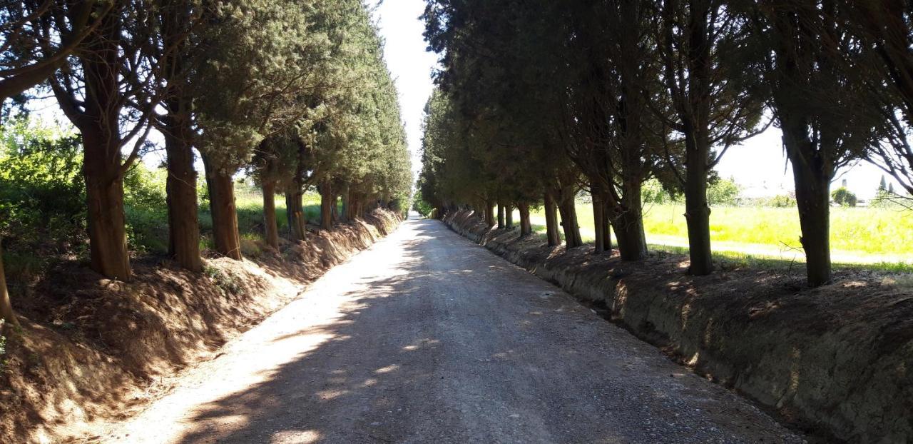 Appartamento La casa della Pieve Vecchia Marmigliaio Esterno foto