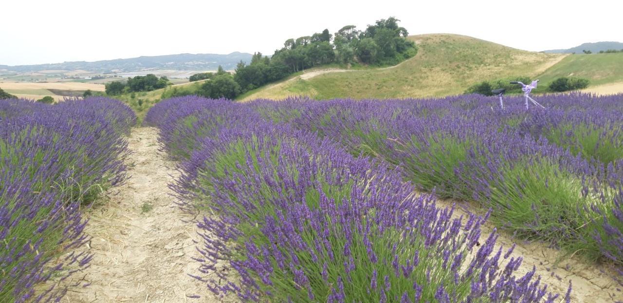 Appartamento La casa della Pieve Vecchia Marmigliaio Esterno foto