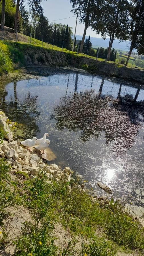 Appartamento La casa della Pieve Vecchia Marmigliaio Esterno foto