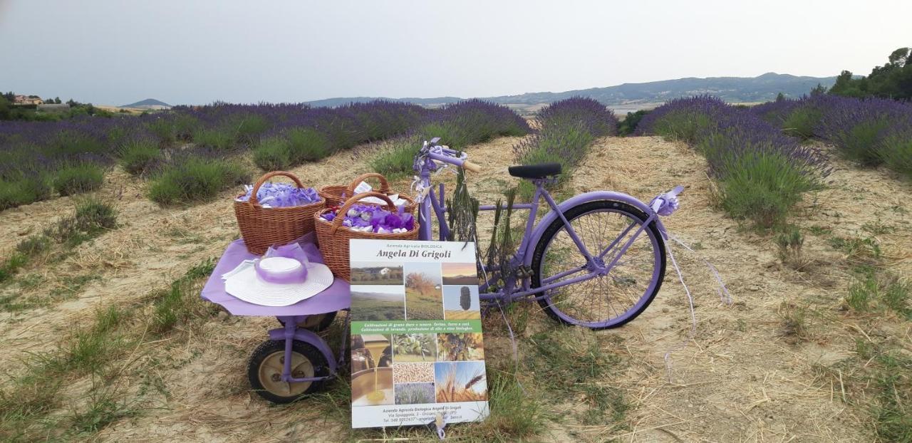 Appartamento La casa della Pieve Vecchia Marmigliaio Esterno foto